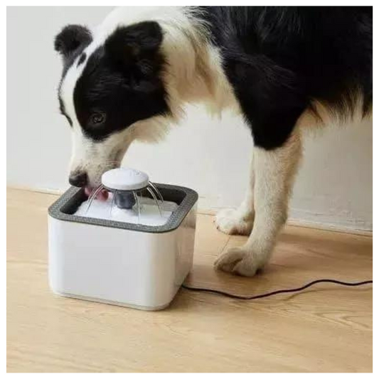 Fuente de Agua purificada para mascotas 2,5lt