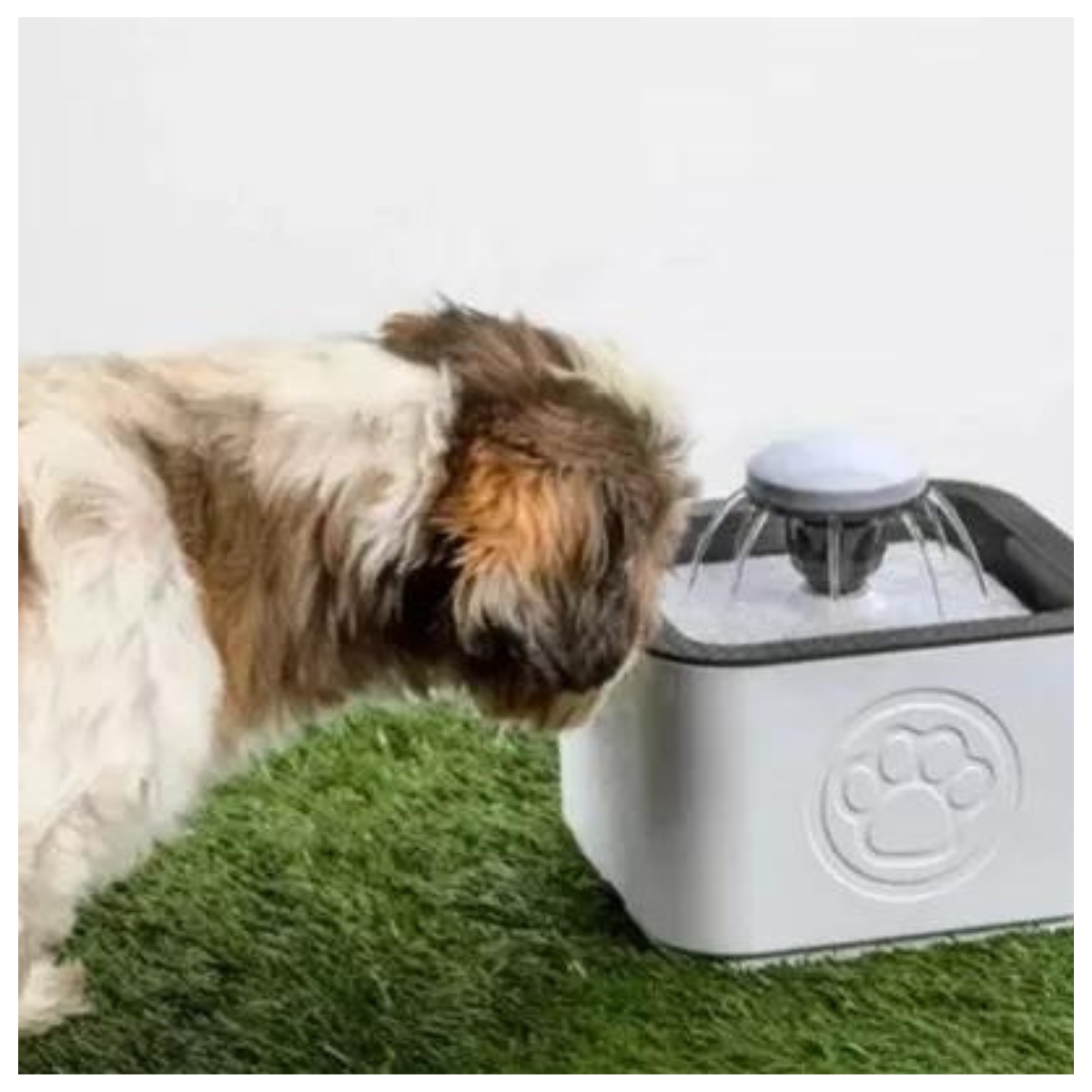 Fuente de Agua purificada para mascotas 2,5lt